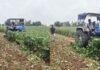 Jharkhand Vegetable Crisis: किसानों की टूटी कमर, 2 रुपये किलो भिंडी बिकने पर किसान ने फसल पर चलाया ट्रैक्टर