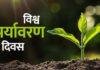 ODF Plus Model:विश्व पर्यावरण दिवस 2026 गांवों में चलेगा ‘स्वच्छ गांव, सुरक्षित जलवायु Campaign’, पांच दिन होंगे विशेष आयोजन