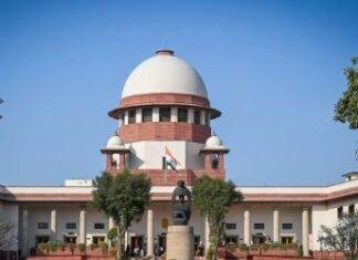 Supreme Court Order: आवारा कुत्तों को खाना खिलाने पर सुप्रीम कोर्ट सख्त, नुकसान होने पर देनी होगी कानूनी जिम्मेदारी