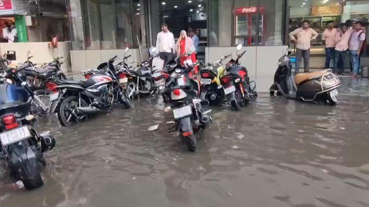 Ara Barish 2 22Scope News