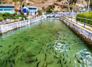 मछली पालकों को बड़ी सौगात, 6 हजार से अधिक वाहनों का वितरण