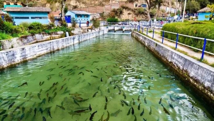 मछली पालकों को बड़ी सौगात, 6 हजार से अधिक वाहनों का वितरण