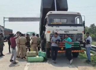 पुलिस की बड़ी कार्रवाई, हाइवा वाहन से भारी मात्रा में गांजा बरामद