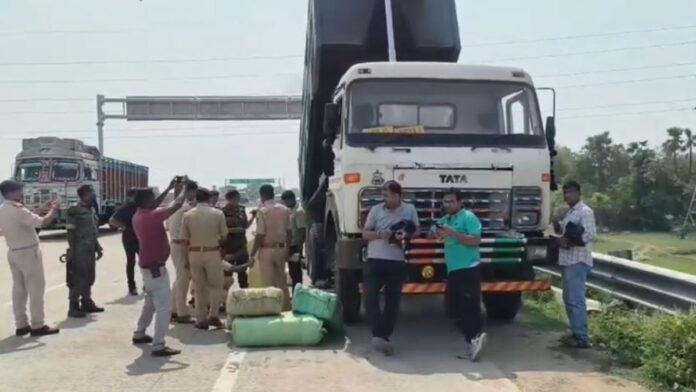 पुलिस की बड़ी कार्रवाई, हाइवा वाहन से भारी मात्रा में गांजा बरामद