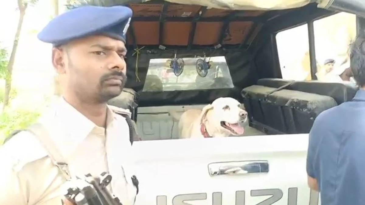 Motihari Body 1 2 22Scope News