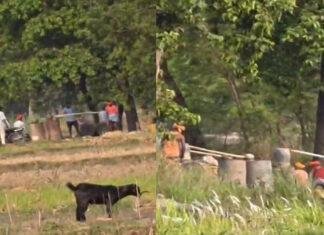 मुसवा भेडिहारी गांव में अवैध शराब कारोबार पर ग्रामीणों का हंगामा, पुलिस पर उठे सवाल