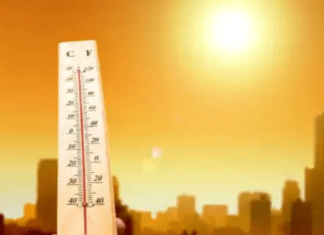 Jharkhand Monsoon : झारखंड में 17 से 20 जून के बीच दस्तक दे सकता है मानसून, तब तक गर्मी से राहत नहीं