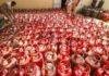 LPG Price Hike: घरेलू गैस सिलेंडर फिर महंगा, रांची में 14.2 Kg Cylinder हुआ 999.50 रुपये