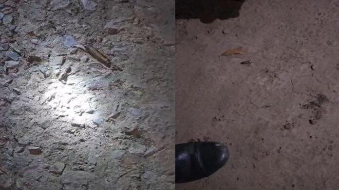 गोलियों की तड़तड़ाहट से एक बार फिर थर्राया बेगूसराय, ड्राइवर घायल