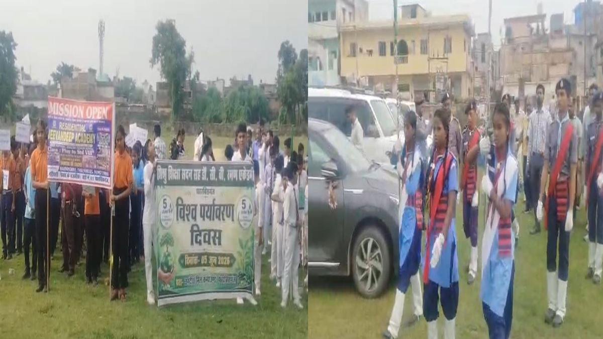Farib Tree 22Scope News