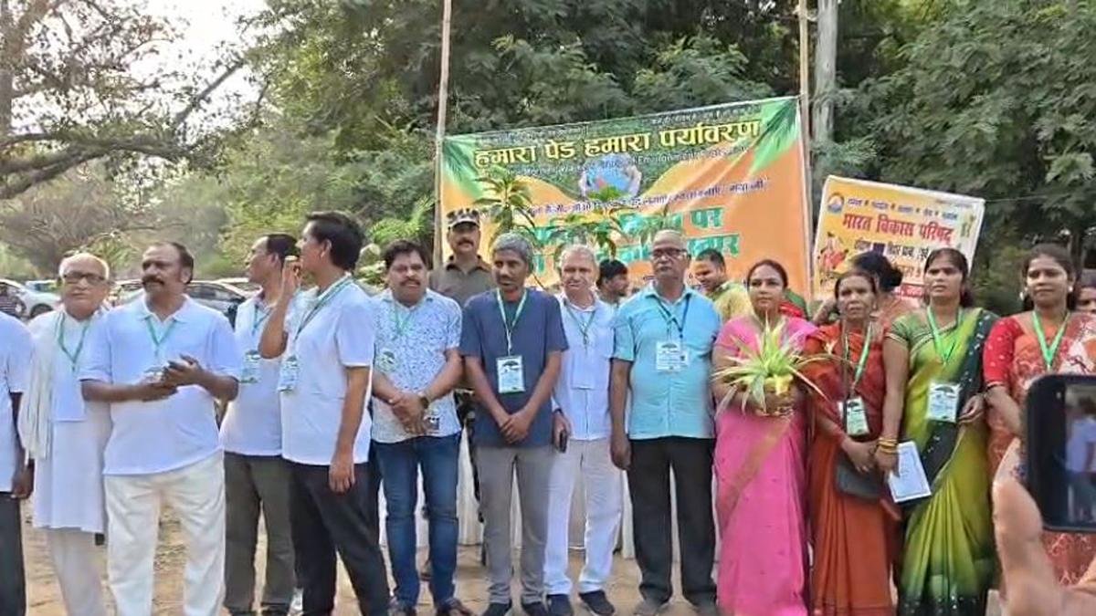 Gaya Tree 1 22Scope News