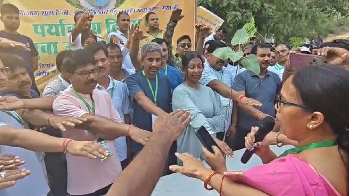 Gaya Tree 2 22Scope News