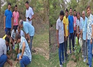 विश्व पर्यावरण दिवस : गया व फारबिसगंज में लगाए गए सैकड़ों पौधे, पर्यावरण संरक्षण का लिया संकल्प