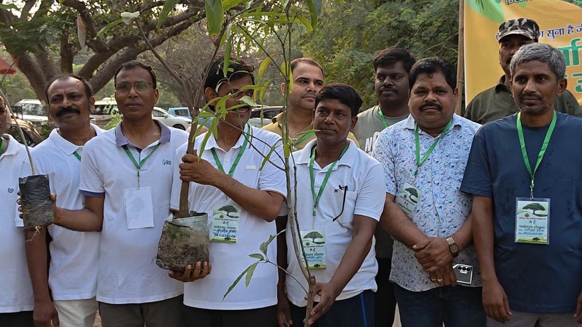 Gaya Tree 5 22Scope News