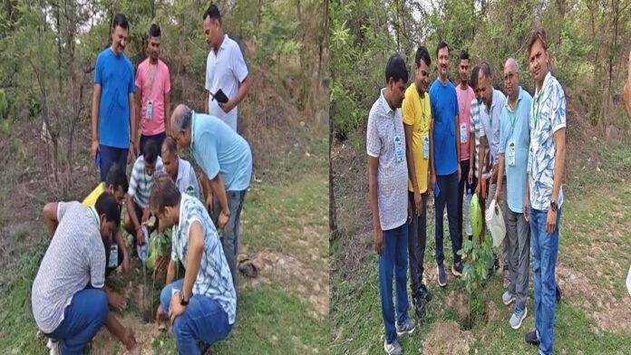 विश्व पर्यावरण दिवस : गया व फारबिसगंज में लगाए गए सैकड़ों पौधे, पर्यावरण संरक्षण का लिया संकल्प