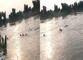 कोसी नदी में नाव पलटी, 4 किसान लापता, तलाश में जुटी SDRF टीम कोसी नदी में नाव पलटी, 4 किसान लापता, तलाश में जुटी SDRF टीम