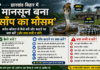 झारखंड-बिहार में मानसून बना ‘साँप का मौसम’: करैत और कोबरा से कैसे बचें, और काटने पर क्या करें झारखंड-बिहार में मानसून बना 'साँप का मौसम': करैत और कोबरा से कैसे बचें, और काटने पर क्या करें