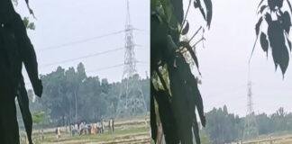 मिट्टी काटने व पैसे के विवाद में बुजुर्ग की पीट-पीटकर हत्या, परिजनों ने लगाया आरोप