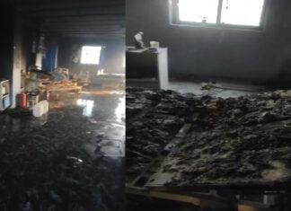 प्रसाद अस्पताल में लगी भीषण आग, मची अफरा-तफरी, DM ने की 3 के मौत की पुष्टि