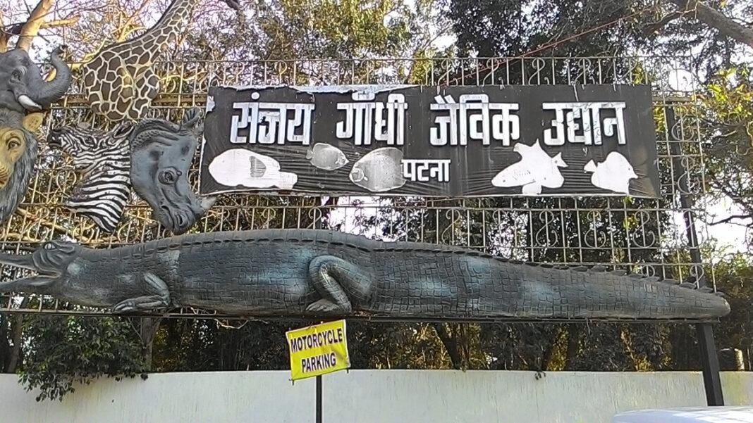 पटना Zoo में तपती धूप से जानवरों को राहत के लिए लगे AC-कूलर, खानपान भी बदला