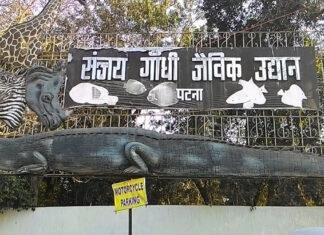 पटना Zoo में तपती धूप से जानवरों को राहत के लिए लगे AC-कूलर, खानपान भी बदला