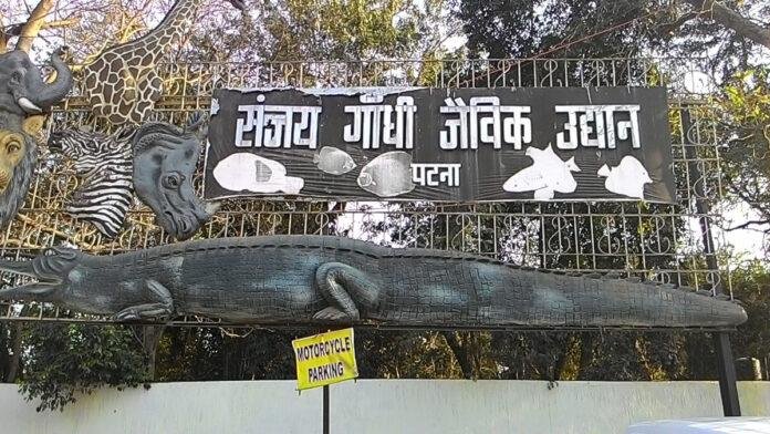 पटना Zoo में तपती धूप से जानवरों को राहत के लिए लगे AC-कूलर, खानपान भी बदला