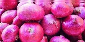 Onion Price Hike: रांची में प्याज 40 रुपये किलो पहुंचा, महाराष्ट्र की बारिश और MSP बढ़ने का दिखा असर