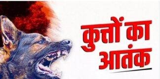 Medininagar Dog Attack: गांधी मैदान के पास आवारा कुत्ते का आतंक, आधे घंटे में 8 बच्चों को काटा