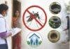 Ranchi Dengue Alert: 245 घरों की जांच में 29 में मिले डेंगू लार्वा, अस्पताल में 20 Bed रिजर्व