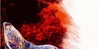 Dhanbad Dog Attack: निरसा में पागल कुत्ते का आतंक, 24 घंटे में 18 लोगों पर हमला, 5 की हालत गंभीर Dhanbad Dog Attack: निरसा में पागल कुत्ते का आतंक, 24 घंटे में 18 लोगों पर हमला, 5 की हालत गंभीर