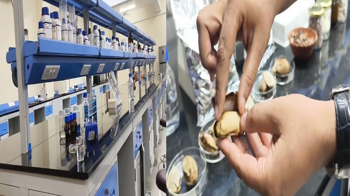 Biodegradable Hydrogel 4 22Scope News