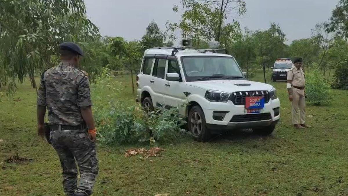 Double Murder Case 2 22Scope News