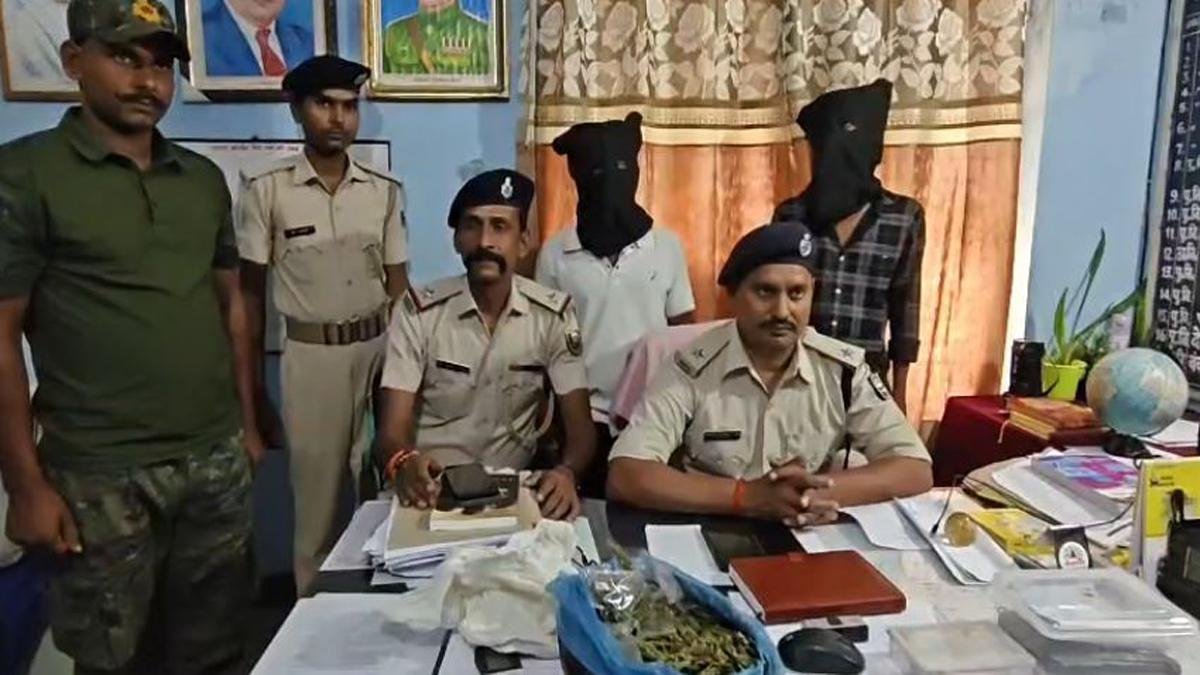 Gaya Ganja 1 22Scope News