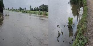 नेपाल की बारिश से पूर्वी चंपारण में बाढ़ जैसे हालात, किसानों की फसल बर्बाद