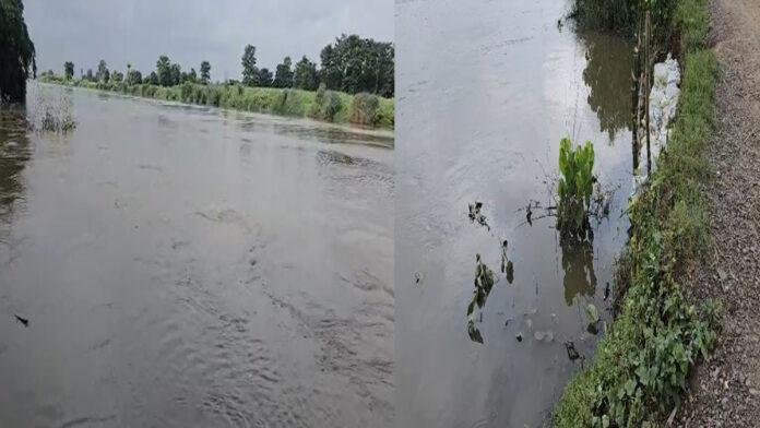 नेपाल की बारिश से पूर्वी चंपारण में बाढ़ जैसे हालात, किसानों की फसल बर्बाद