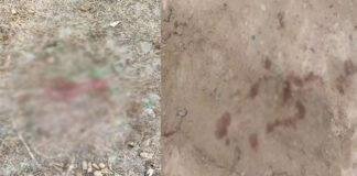 धारदार हथियार से हमला, 2 लोग गंभीर रूप से घायल धारदार हथियार से हमला, 2 लोग गंभीर रूप से घायल