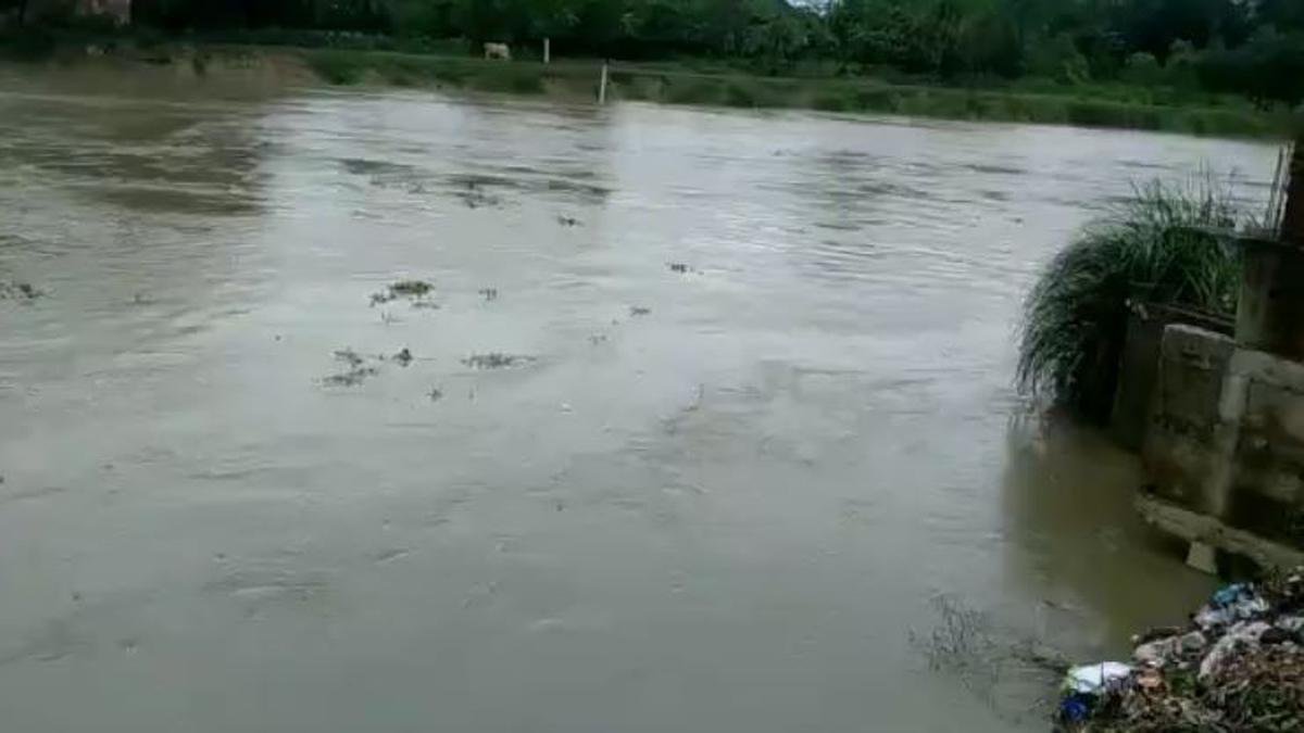 Muz DM 1 22Scope News