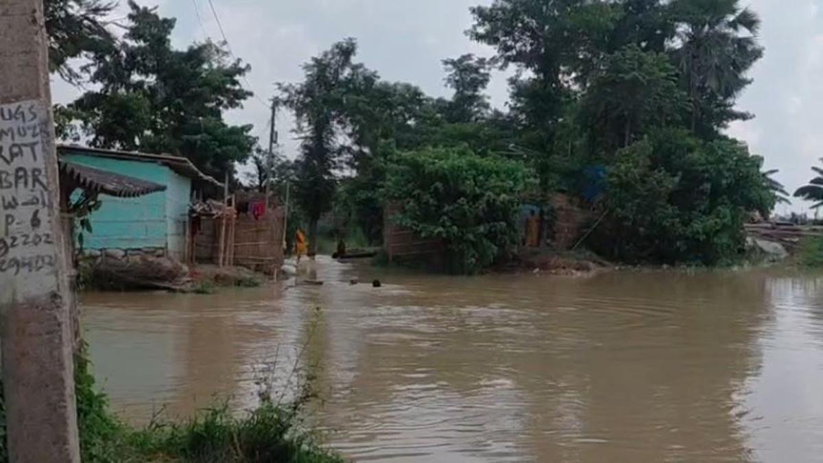 Muz DM 6 22Scope News