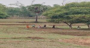 Chatra Land Dispute Murder 1
