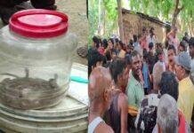 Patna Snake Rescue: रात में दिखा एक सांप, सुबह खुला ऐसा राज कि पूरे गांव में मच गई दहशत