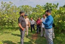 Jamtara Cashew Processing Unit 2