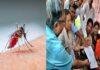 Ranchi Dengue Surveillance 2026