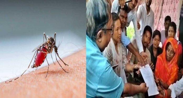 Ranchi Dengue Surveillance 2026