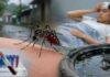 Jharkhand Malaria Cases