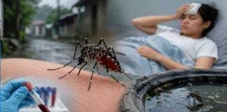 Jharkhand Malaria Cases