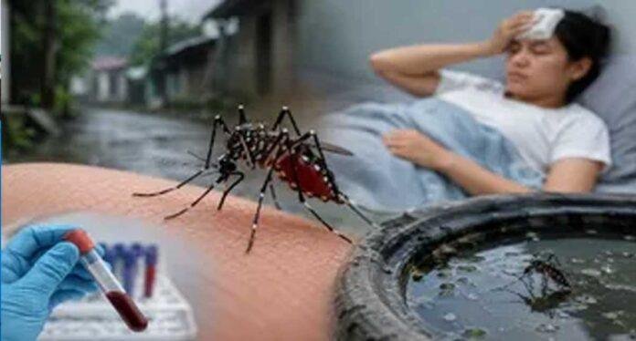Jharkhand Malaria Cases