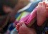 Palamu Teacher Maternity Leave Controversy