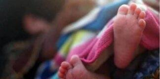 Palamu Teacher Maternity Leave Controversy
