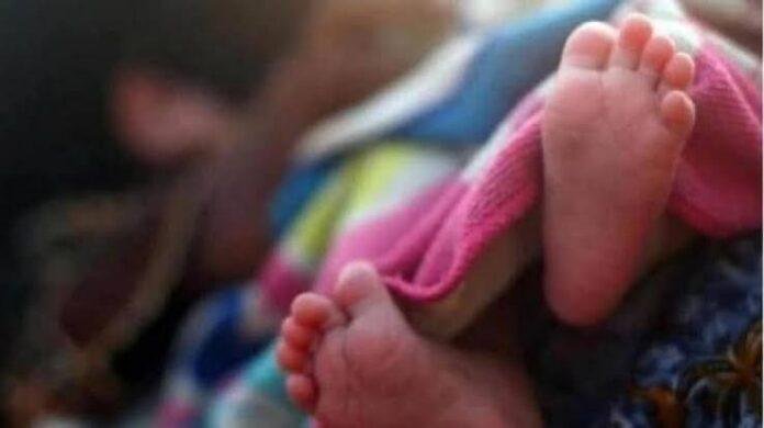 Palamu Teacher Maternity Leave Controversy
