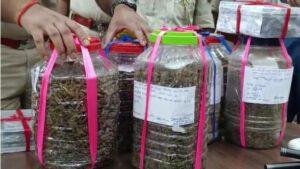 Jamshedpur Ganja Smuggling Case: जमशेदपुर में अवैध गांजा कारोबार का खुलासा, 7.8 किलो गांजा के साथ दो आरोपी गिरफ्तार | 22Scope News Jamshedpur Ganja Smuggling Case 1